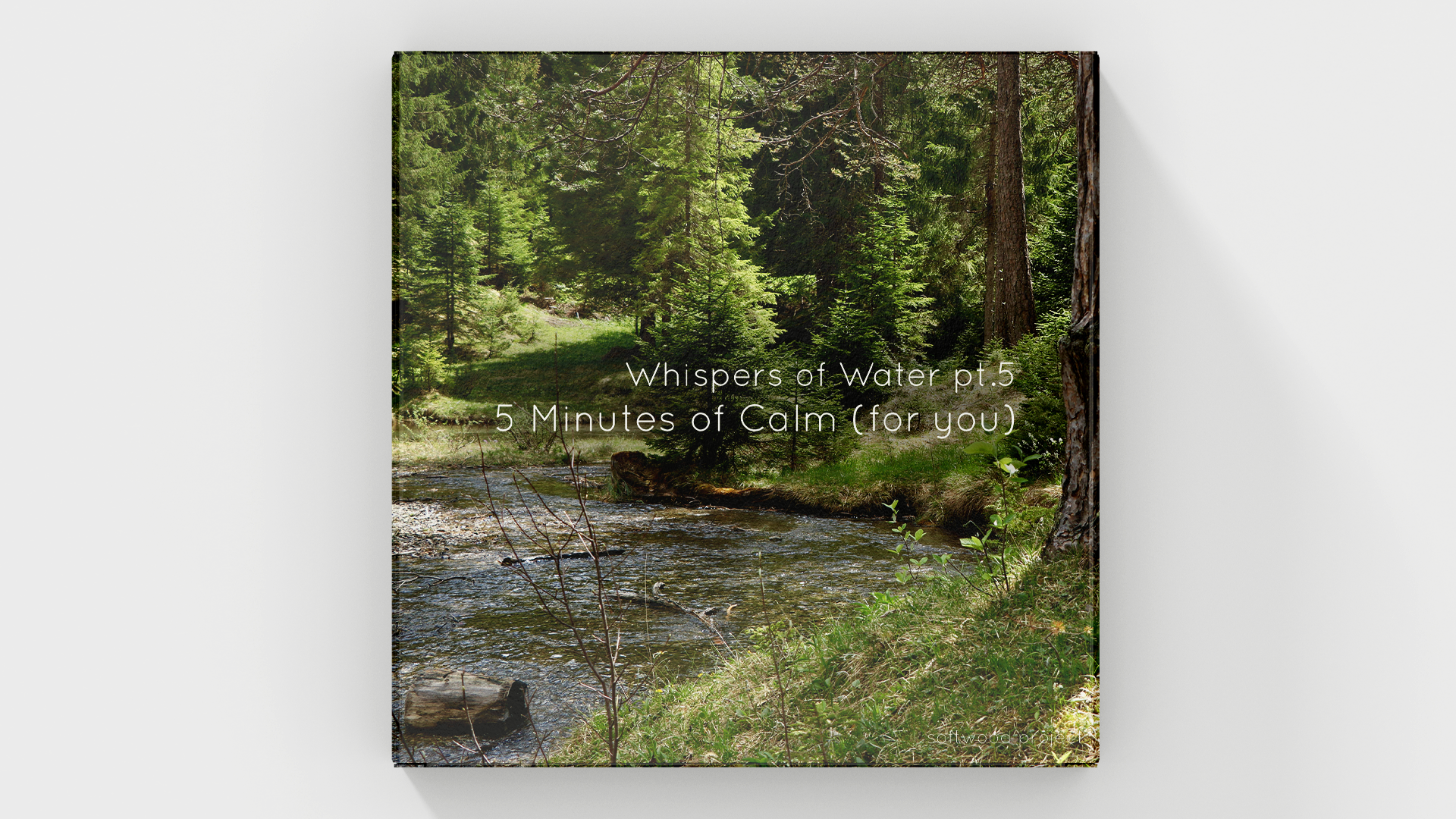 Gentle flowing water in a peaceful natural setting representing a calming 5-minute soundscape for relaxation, meditation, and focus