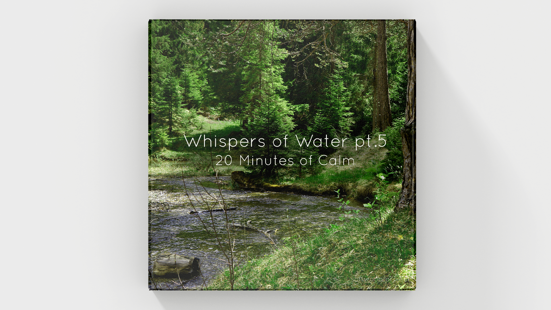 Gentle natural water flowing in a peaceful environment representing a 20-minute calming soundscape for relaxation, focus, and mental clarity