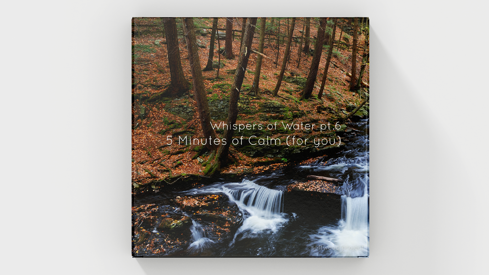 Soft flowing water in a natural setting representing a calming 5-minute soundscape for relaxation, meditation, and focus
