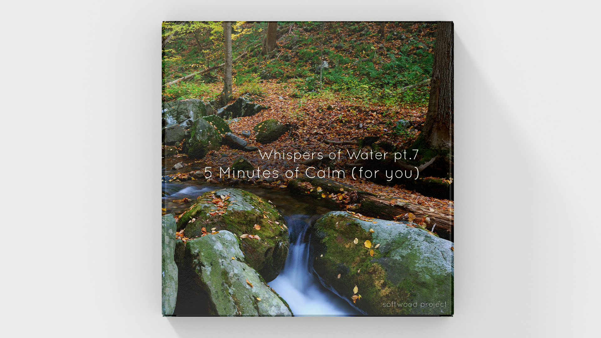 Gentle flowing water in a peaceful natural environment representing a calming 5-minute soundscape for relaxation, meditation, and focus