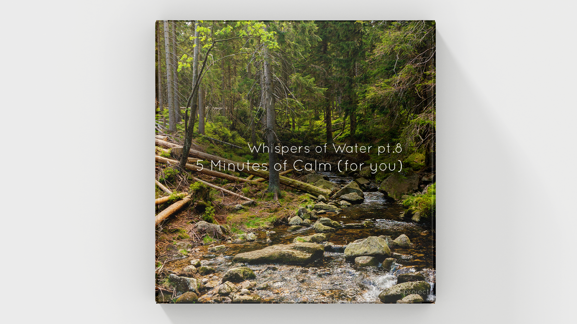 Soft flowing water in a tranquil natural setting representing a calming 5-minute soundscape for relaxation, meditation, and focus