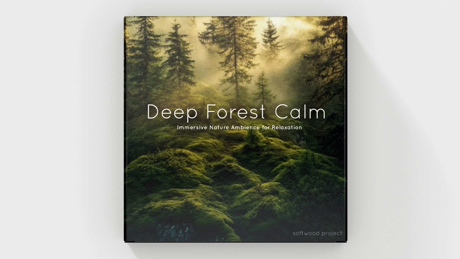 Quiet forest scene representing a 25-minute real nature soundscape for relaxation and meditation