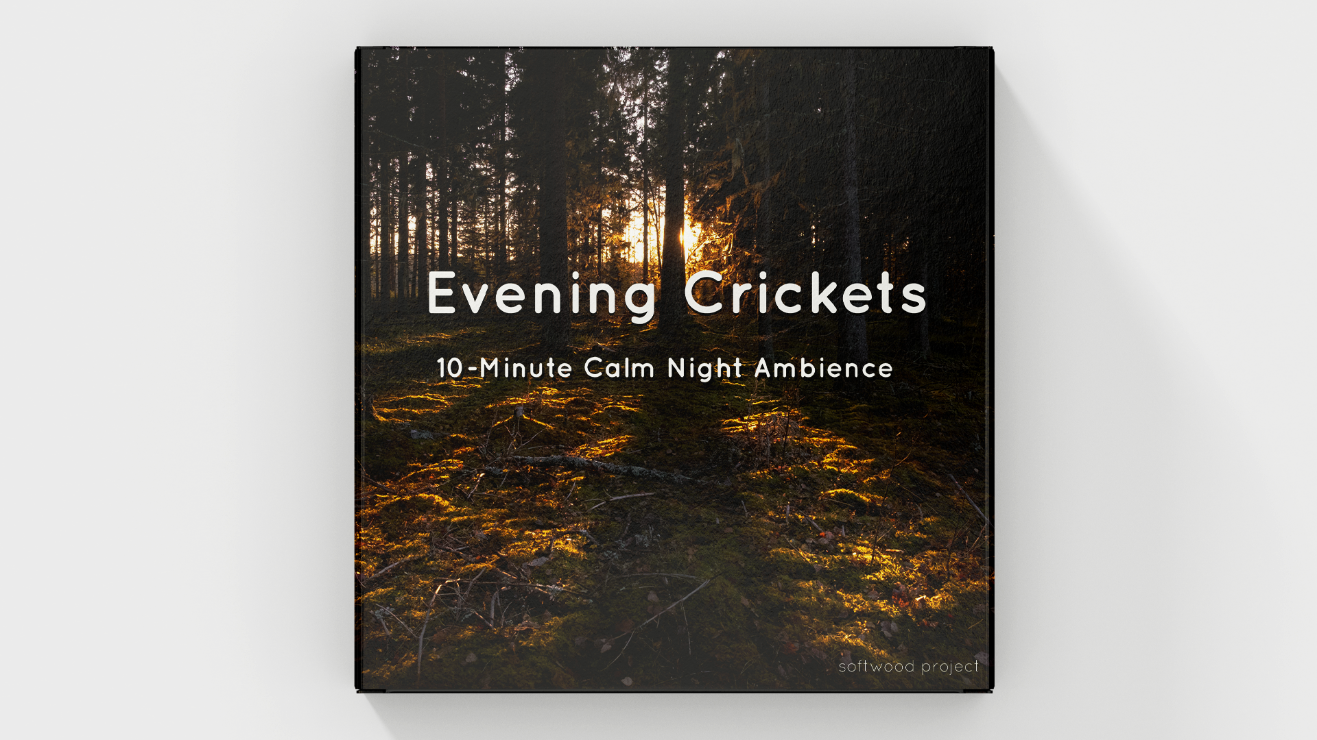Peaceful night ambience with the gentle sound of crickets under the stars – perfect for sleep, meditation, or relaxing content.