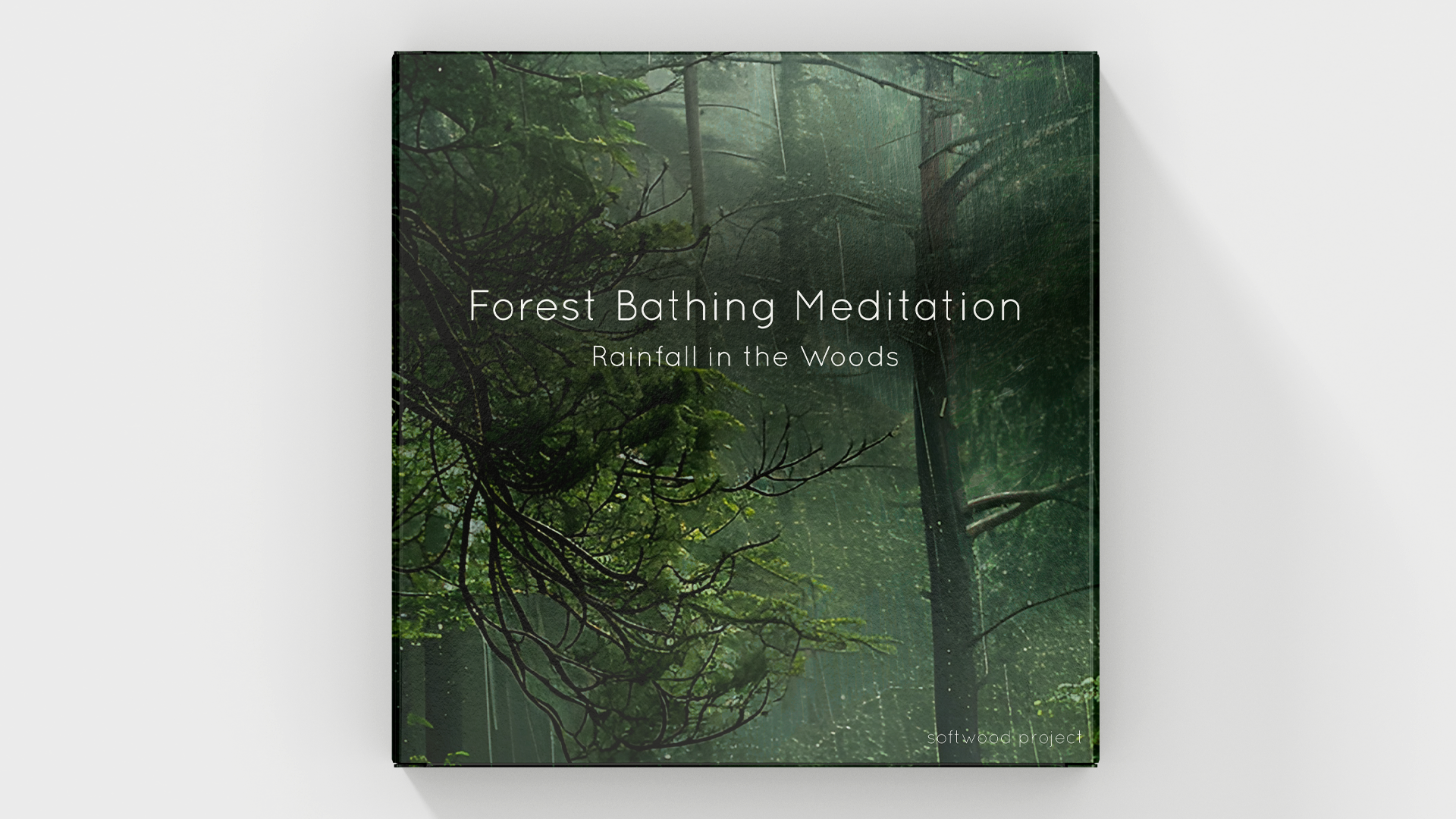 Soft rainfall in a quiet forest environment representing a calming nature soundscape for meditation, sleep, and relaxation