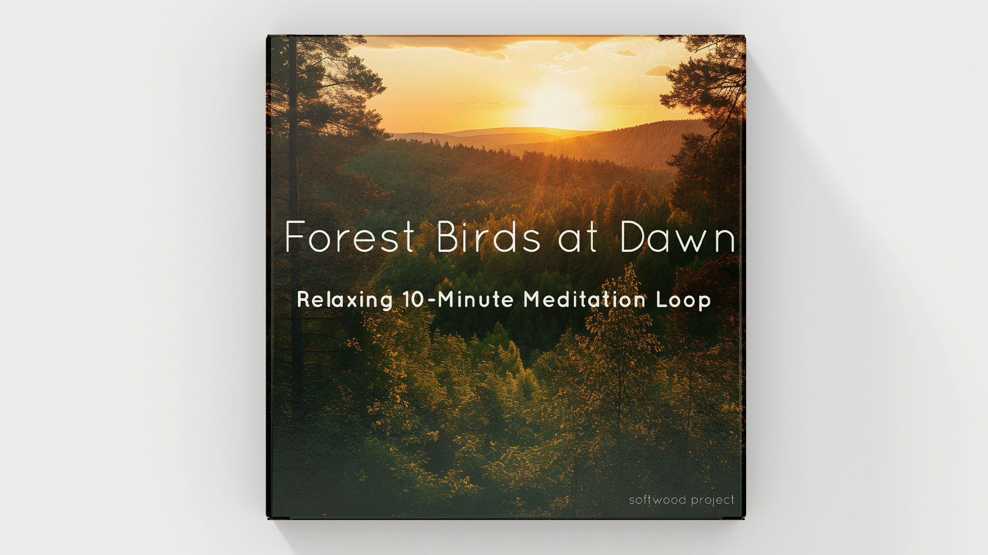 Peaceful morning forest ambience with gentle bird calls – perfect for meditation, relaxation, and spiritual practice.