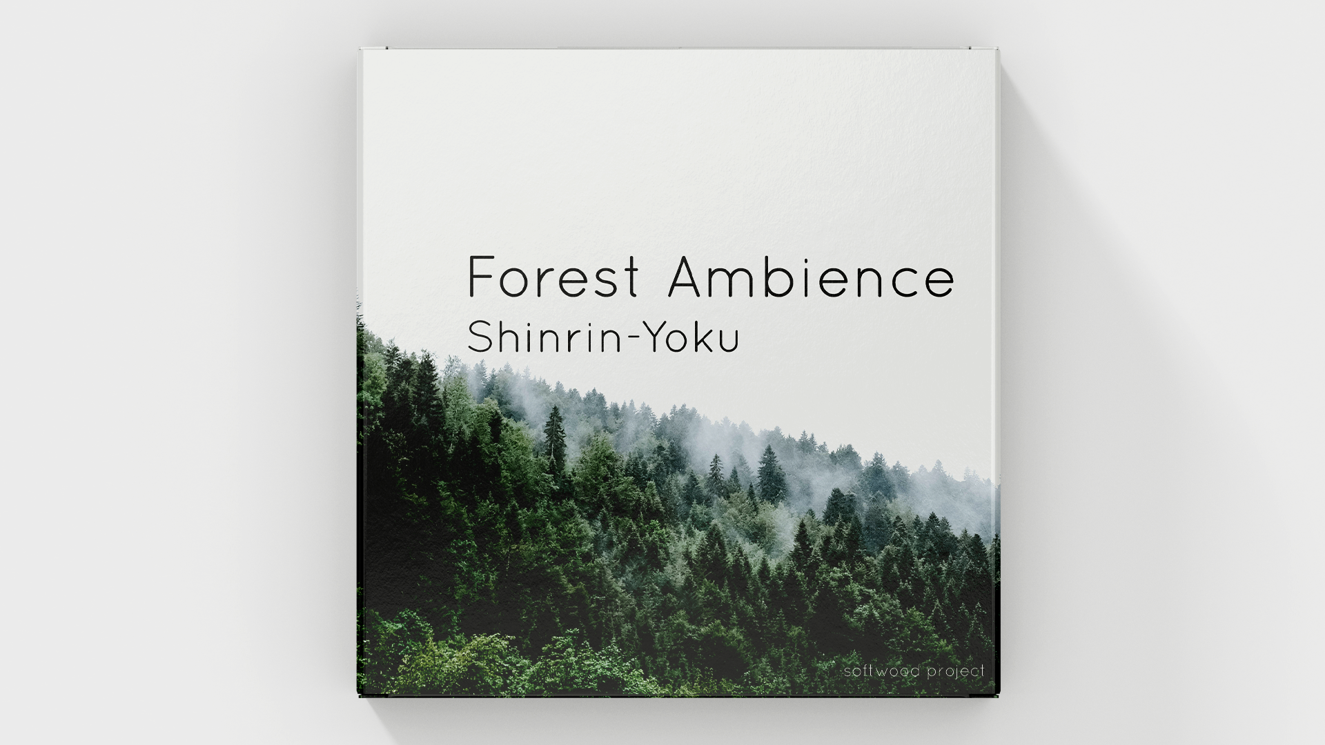Deep forest environment with subtle wildlife sounds representing a 31-minute nature soundscape for forest bathing, meditation, and relaxation